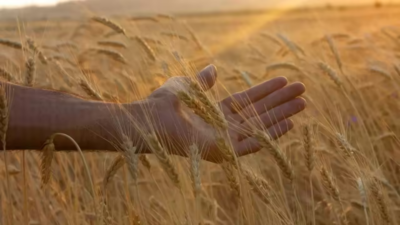 1759319151 unnamed file.jpg