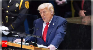 1759550339 photo.jpg