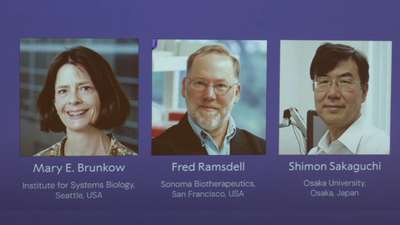 1759745187 unnamed file.jpg