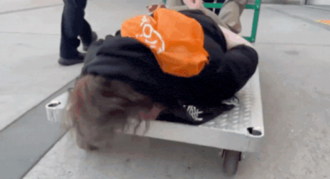 1759832146 photo.jpg