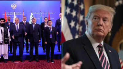 1759861130 untitled design 19.jpg