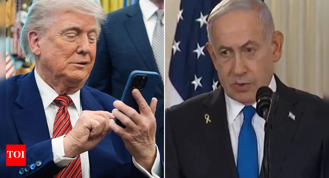 1759988394 photo.jpg