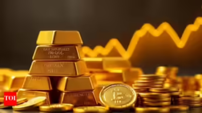 1760033554 unnamed file.jpg