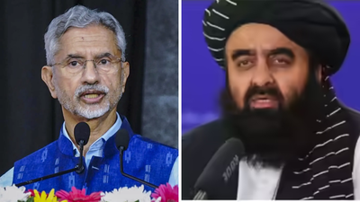 1760035545 pic 1.jpg