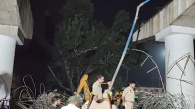 1760037691 pic 5.jpg