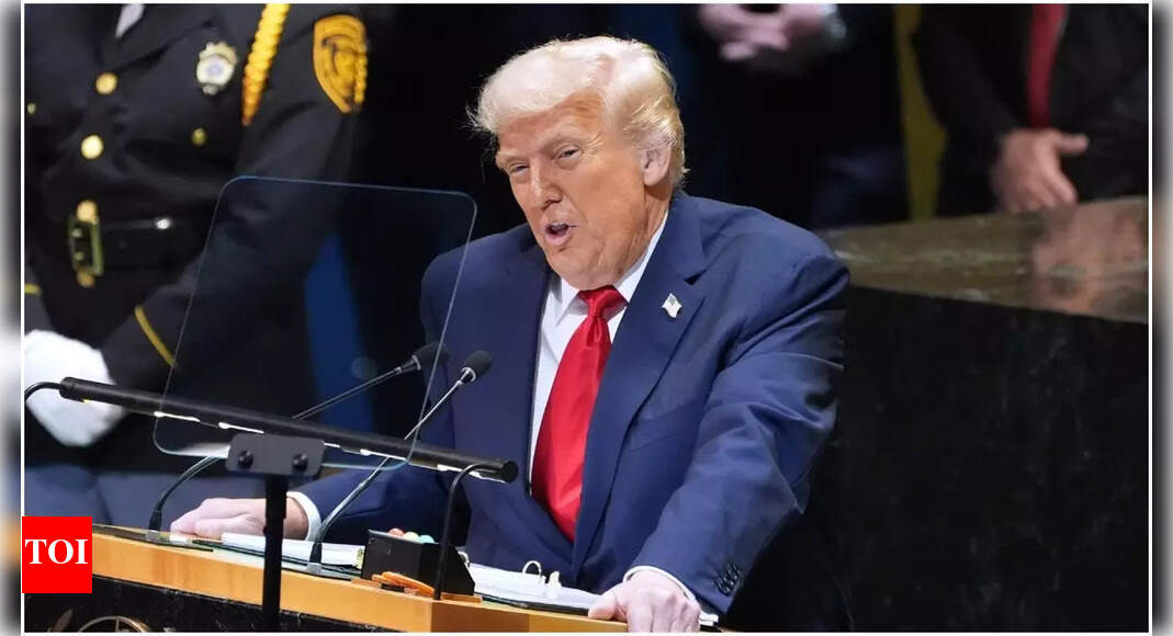 1760063707 photo.jpg