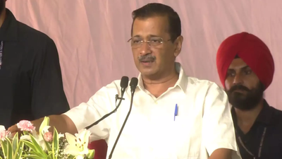 1760083964 unnamed file.jpg