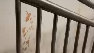 1760087454 untitled design 22.jpg