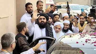 1760195381 untitled design 1.jpg