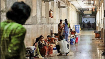 1760231925 pic 34.jpg