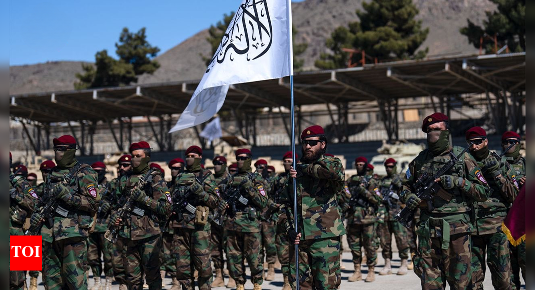 1760255612 photo.jpg