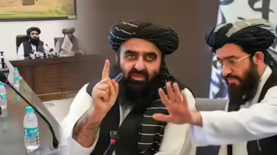 1760299465 untitled design 5.jpg