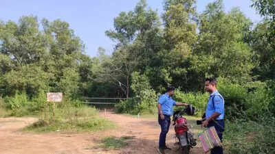 1760326768 unnamed file.jpg