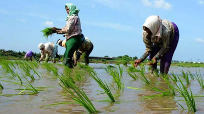 1760377183 untitled design 97.jpg