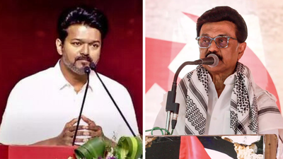 1760523943 untitled design 40.jpg