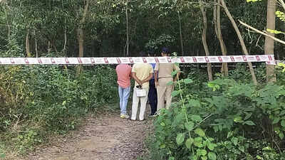 1760550264 unnamed file.jpg