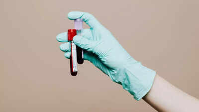 1760649992 credits canva.jpg