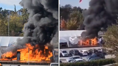 1761133373 pic 40.jpg