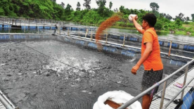 1761185205 unnamed file.jpg