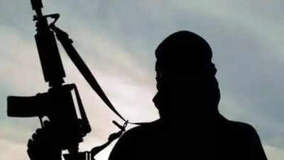 1761293144 unnamed file.jpg