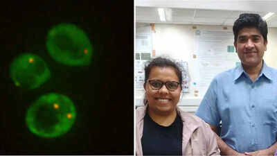 1761329620 unnamed file.jpg