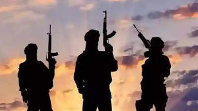 1761364112 unnamed file.jpg