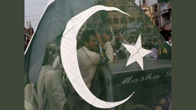 1761409888 untitled design 46.jpg