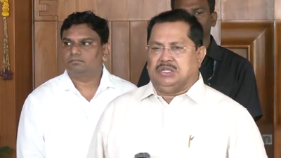 1761536545 untitled design 87.jpg