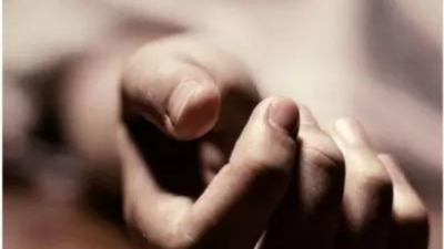 1761661109 unnamed file.jpg