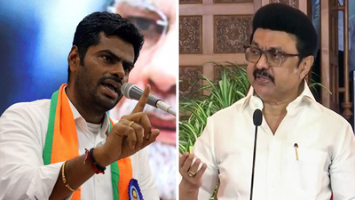 1761734309 pic 14.jpg