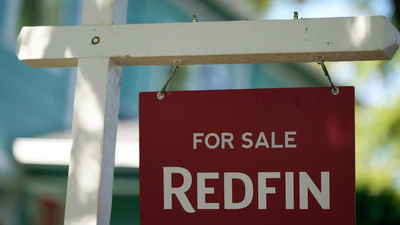 1761845493 unnamed file.jpg