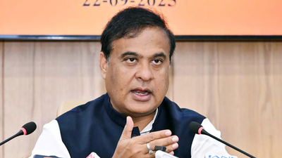 1761923675 untitled design 2.jpg