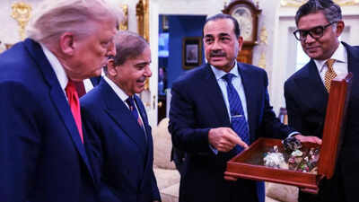 Asim munir donald trump pak rare earth.jpg