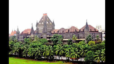 Bombay high court in mumbai refuses permission to elgar parishad maoist links case accused anand tel.jpeg