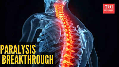 Cure for paralysis scientists find an old drug that could regenerate life in the spinal cord.jpg
