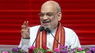 File amit shah.jpg
