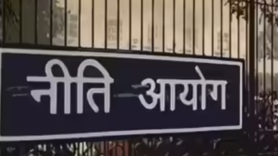 Niti aayog suggests single window clearance system for homestay registration to boost tourism.jpg