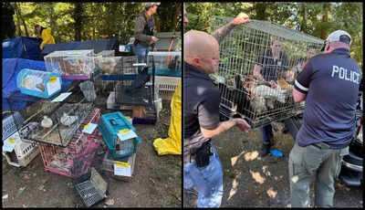 Photo credit suffolk county da39s office.jpg