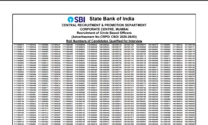 Sbi cbo result 2025.jpg