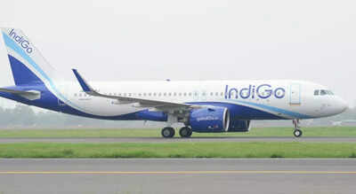 Screenshot 2025 10 22 193909.jpg