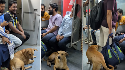 Stray dog boards kolkata blue line metro baaj pakhiinstagram.jpg