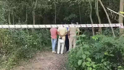 The appeal was filed under section 183 of the bharatiya nagarik suraksha sanhita which spells out th.jpeg