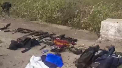 Untitled design 2025 10 08t191414434.jpg