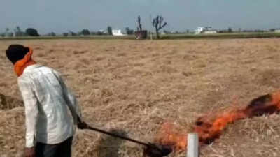 Untitled design 2025 10 22t164507694.jpg