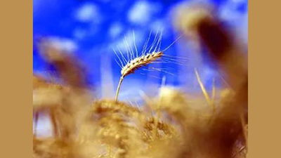 Untitled design 28.jpg