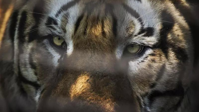 Untitled design 97.jpg