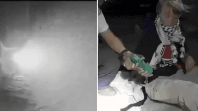 Videos taken from x.jpg