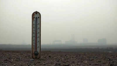 1762277448 unnamed file.jpg