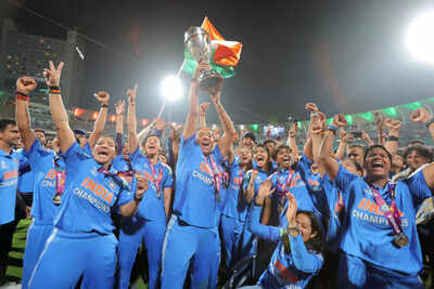 1762320313 india v south africa icc women39s cricket world cup india 2025 final.jpg