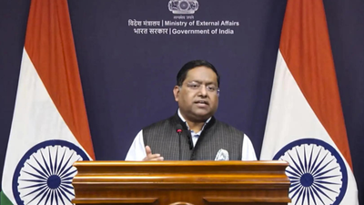 1762516844 unnamed file.jpg